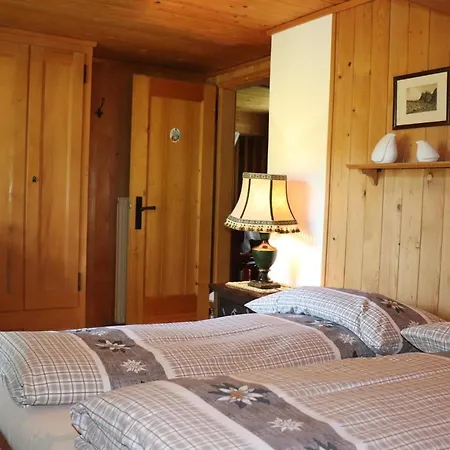 Gemuetliches Zum Alleinbewohnen Mit Garten & Bergblick, Kostenloses Wifi, Ladestation Fuer E-autos * Grindelwald