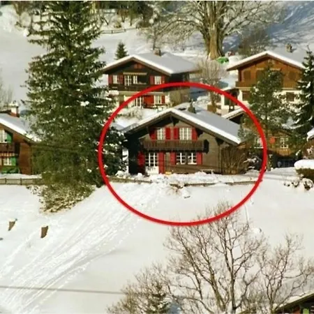 Gemuetliches Zum Alleinbewohnen Mit Garten & Bergblick, Kostenloses Wifi, Ladestation Fuer E-autos Tatil Evi Grindelwald