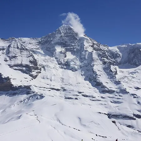 Gletscherfloh Holiday home Grindelwald