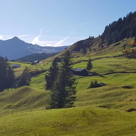 Gletscherfloh Grindelwald